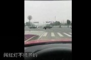 红灯手机在线观看,揭秘现代都市情感纠葛