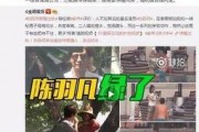 天涯爆料出轨细节视频大全,出轨细节视频大盘点，揭秘婚姻危机背后的真相