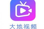 大地视频在线观看