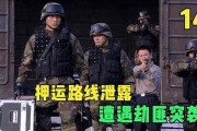 绝密押运全集在线观看,全程揭秘押运行动背后的惊险故事