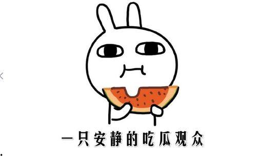 等着吃瓜是什么意思