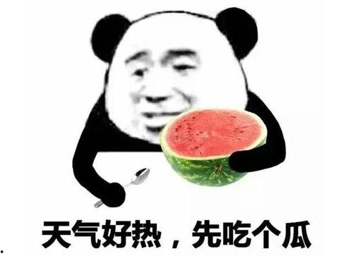 吃瓜表情啥意思,网络热词背后的文化现象